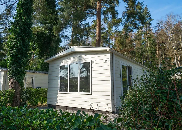 Europarcs De Achterhoek 홀리데이파크 로헴