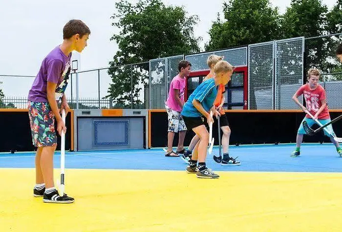 Vakantiepark Europarcs De Achterhoek 2*