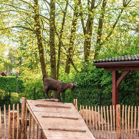 Europarcs De Achterhoek Feriepark 2*